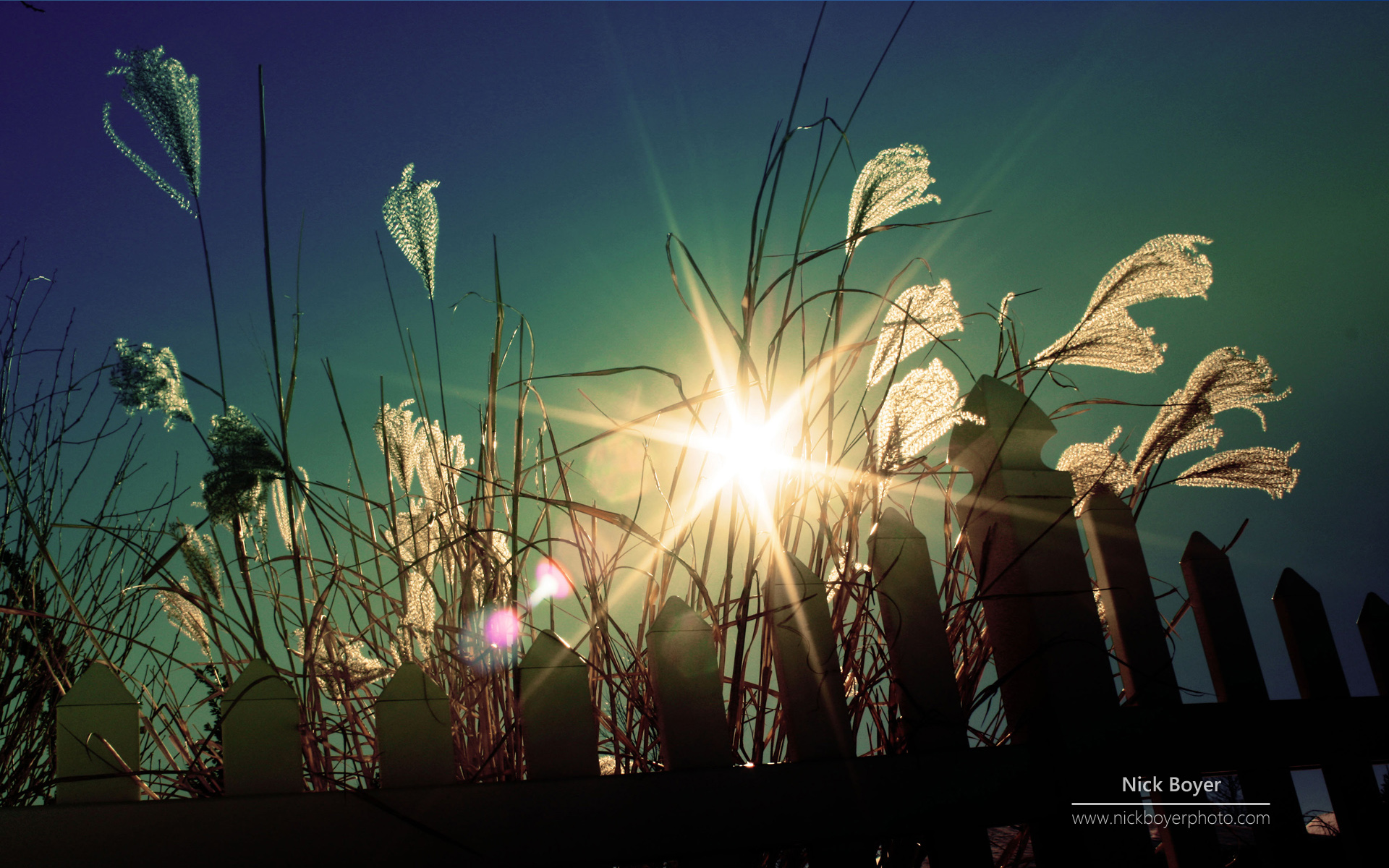 Flutter 值得学习的开源库