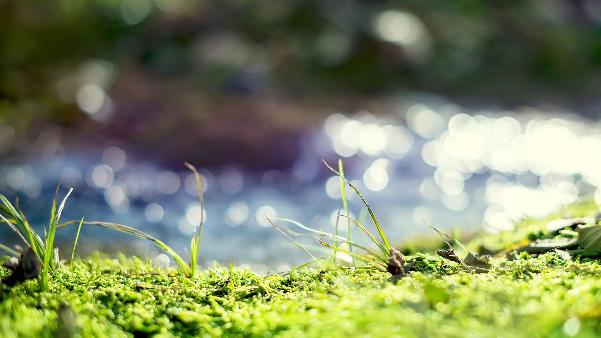 Flutter 官方学习资料及网站