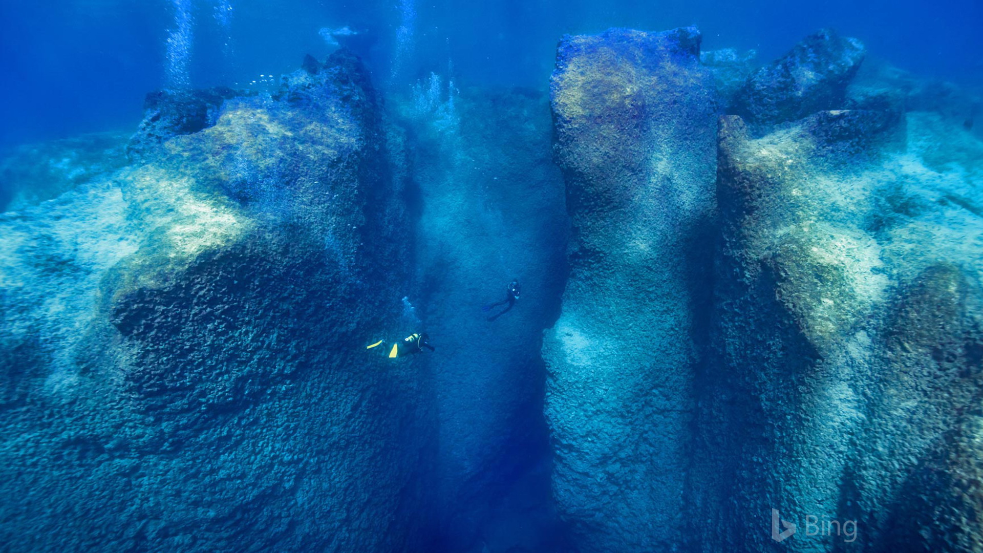 Redux 之 Middleware 及 Flutter Redux 介绍